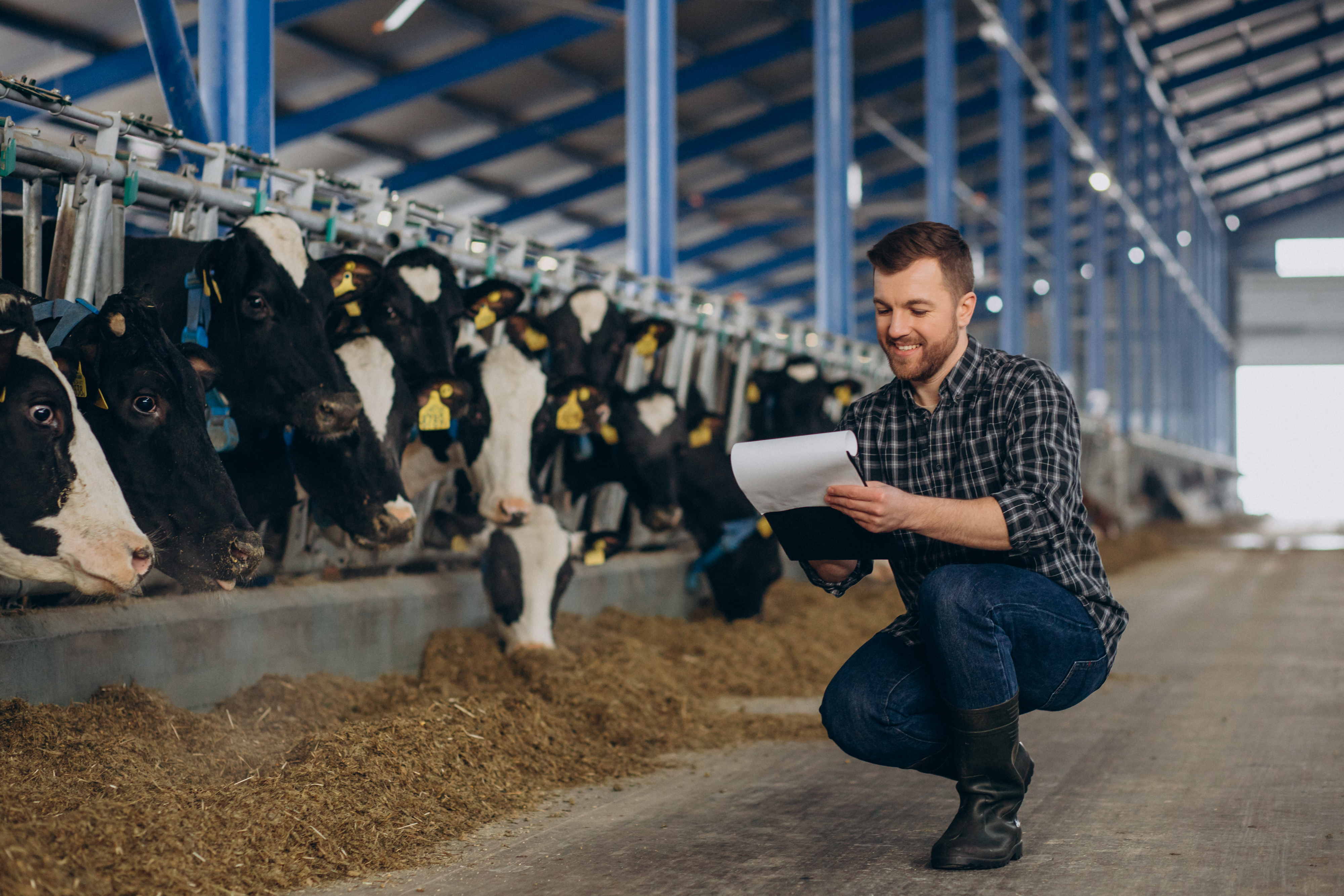 Dairy Management Blog